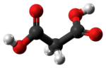 Ball-and-stick model of the malonic acid molecule