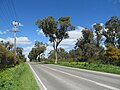 Mandurah Road