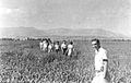 Members of Kibbutz Maoz on a training field trip. 1947