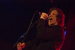 Mark Lanegan: Diskografi, Bibliografi, Referenser