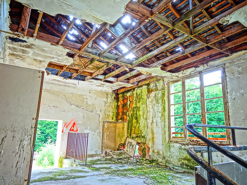 File:Mauves-sur-Loire Château de la Droitière outbuilding 02 dining room mold.jpg