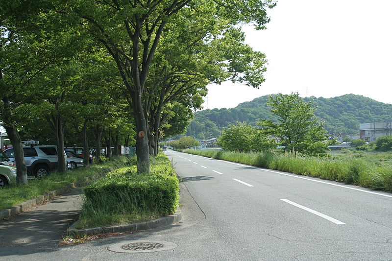 File:Mitachi Kotu Park 62.jpg