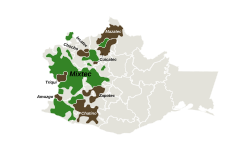 Oto-Manguean Languages