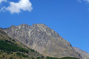 Monte Grauson