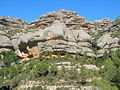 Miniatura para Parque natural de la Sierra de Montsant