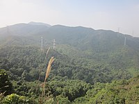 Büyük Yangtai Dağı8.jpg