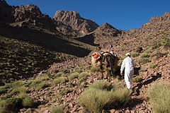 Mountain trekking in the Jbel Saghro.