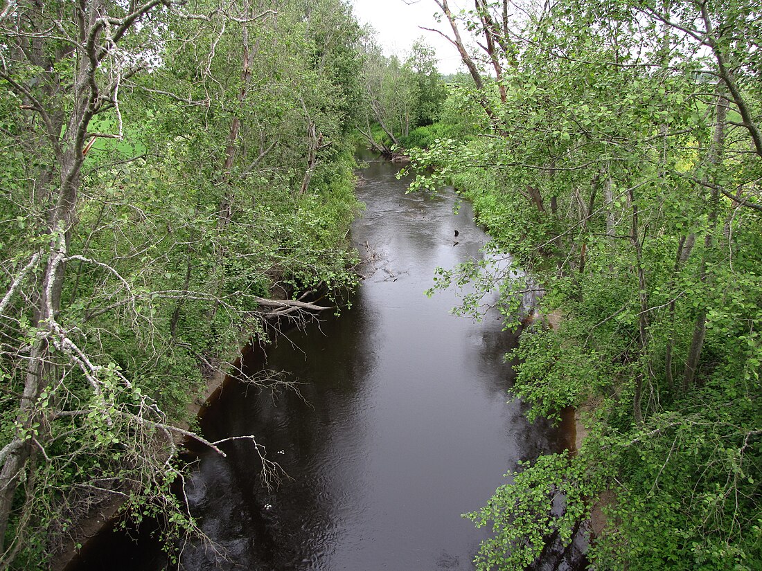 Mustajoki (Jalasjärvi)