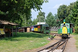 Wigierska Kolej Wąskotorowa w Płocicznie-Tartaku