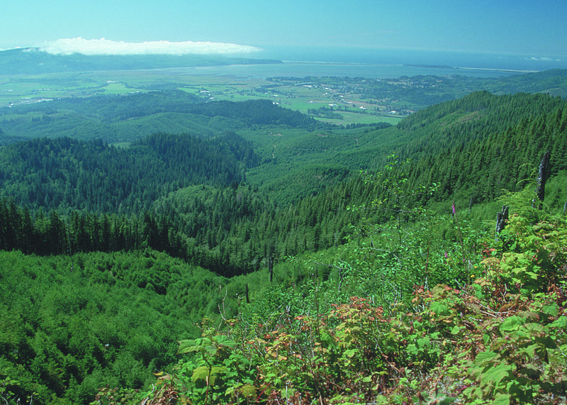 File:NRCSOR00066 - Oregon (5823)(NRCS Photo Gallery).jpg