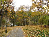 Čeština: Park Na Skalce v Praze na Smíchově, Česká republika.