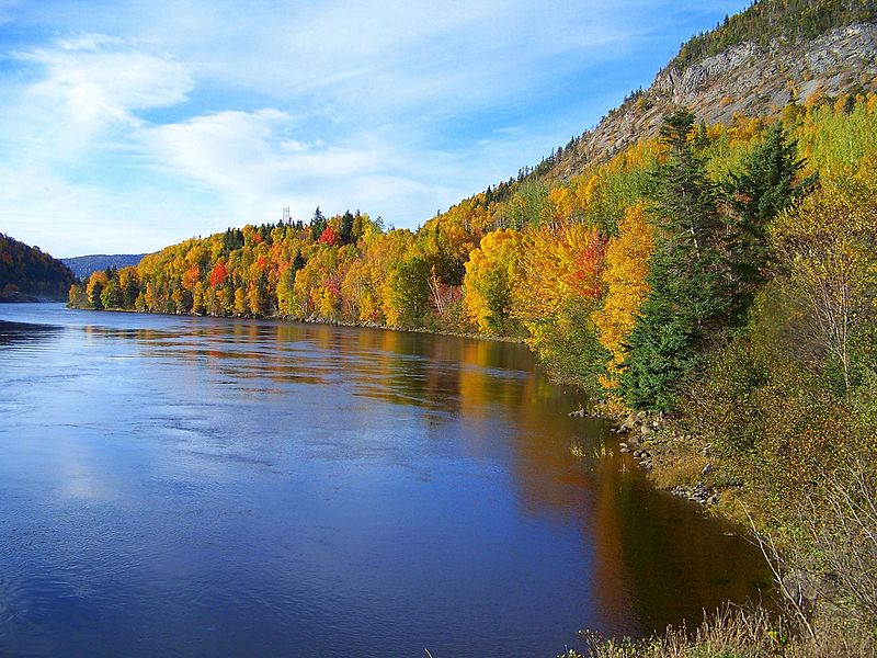 File:Nature's Autumn Palette on Newfoundland's Humber River in 2007.jpg