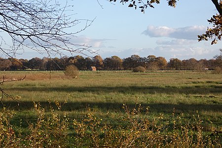 Naturschutzgebiet Heubachwiesen