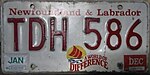 Номерной знак Ньюфаундленда и Лабрадора 1998 года - TDH-586.jpg