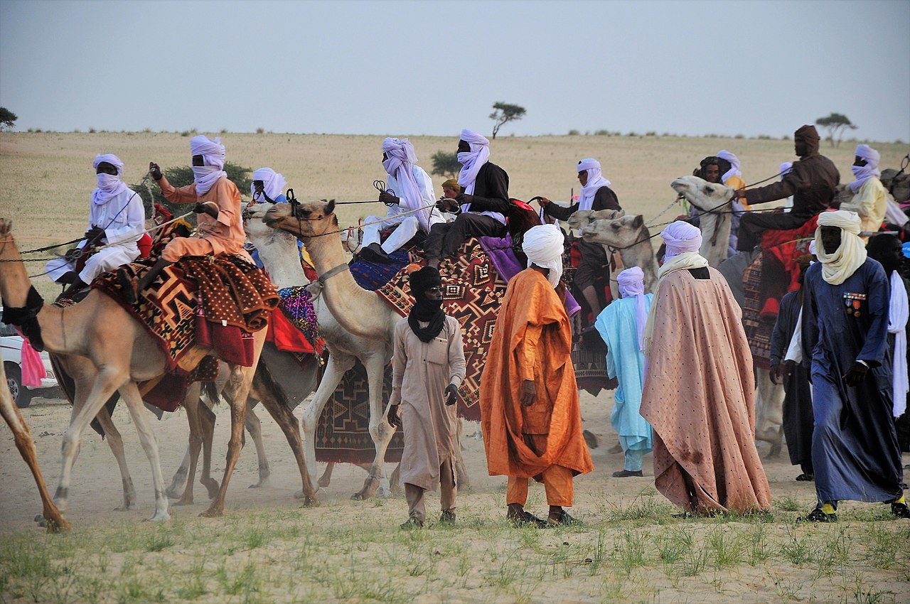 Société nigérienne