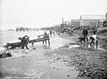 Nome-beach-1908.jpg