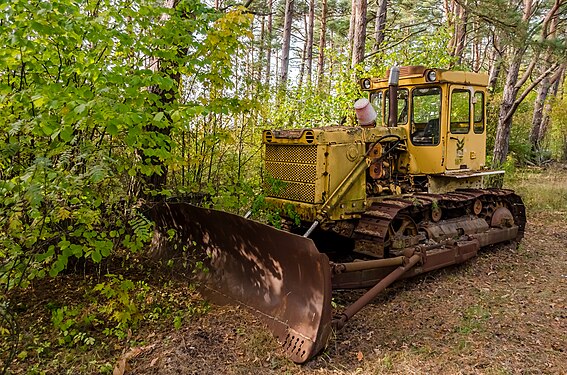 Old bulldozer. Forest find in Estonia