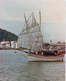 One of the last working bedars manouvering under sail.jpg