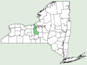 Orthocarpus bracteosus NY-dist-map.png