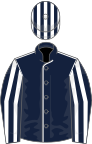 Dark blue, white seams, striped sleeves and cap