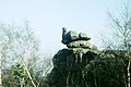 Rock formation Broody Hen (Brütende Henne) on the Töpfer