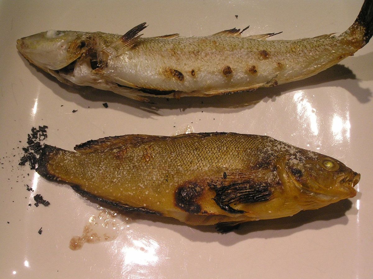 File Pキスとアイナメの塩焼き Jpg Wikimedia Commons