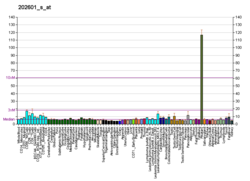 PBB GE HTATSF1 202601 s, fs.png'de