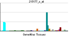 PBB GE ITGA6 215177 s at tn.png