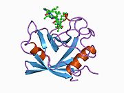 PDB 1cwk EBI.jpg