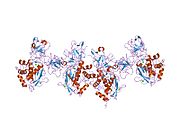 PDB 1eak EBI.jpg