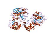 PDB 1oqm EBI.jpg