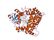 PDB 1tqn EBI.jpg