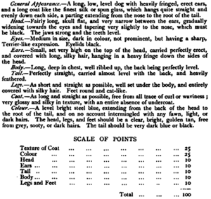 An early breed standard PaisleyStandard1903.png