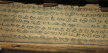 Palmiye yapraklı manuscript.jpg