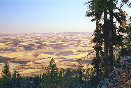 Tập_tin:Palouse_fields,_Washington_from_Kamiak_Butte.jpg