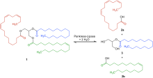 Pankreas-Lipase–Application V.1.svg