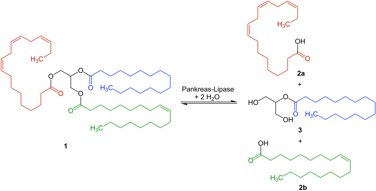 triacylglycerol lipase