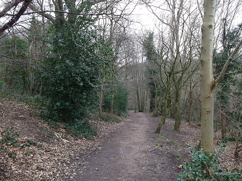 File:Path in Lesnes Abbey Woods - geograph.org.uk - 2824332.jpg