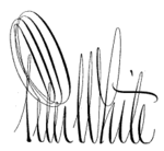 PeterWhiteMarquetteSignature.png