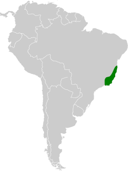 Distribución de geográfica del ermitaño pigmeo.