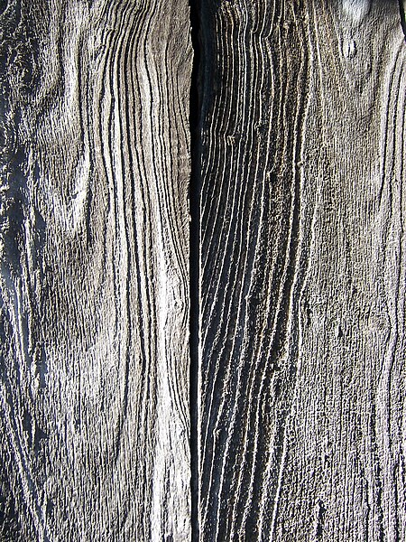 File:Picea abies old boards on a barn.JPG