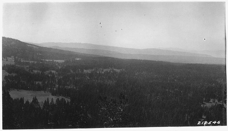 File:Picture looks South 45 degrees W from Red Cone across upper Copeland and Bybee Creeks. - NARA - 298919.jpg