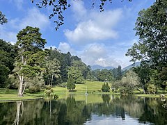 Pond Cibodas Botanical.jpg