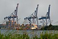 Cranes at the Port of Galveston container terminal