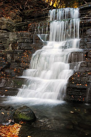 <span class="mw-page-title-main">Fallingbrook, Ottawa</span>