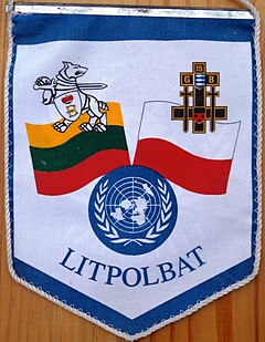 Proporczyk litpolbat awes.jpg