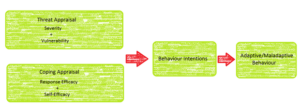 Figure 3: Protection motivation theory