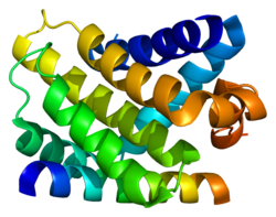 Ақуыз MCL1 PDB 2nl9.png