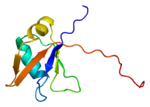 Thumbnail for TAR DNA-binding protein 43