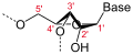 Deutsch: Struktur von RNA, 3'-endo-Konformation English: Structure of RNA, 3'-endo conformation